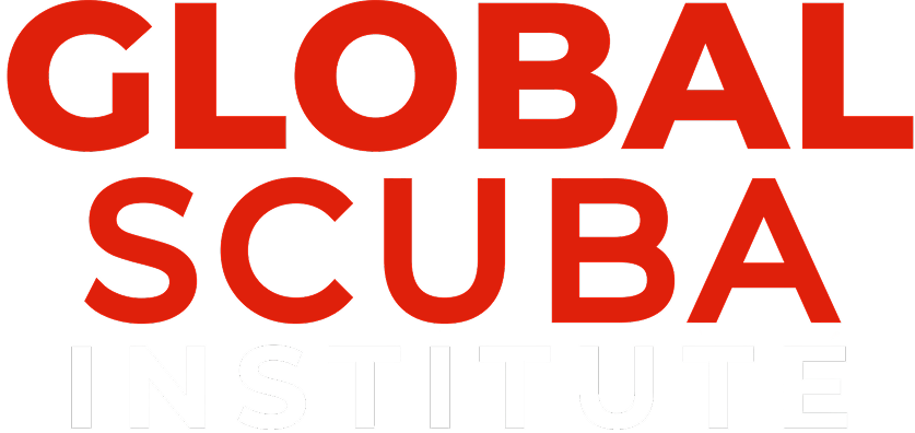 gsi logo