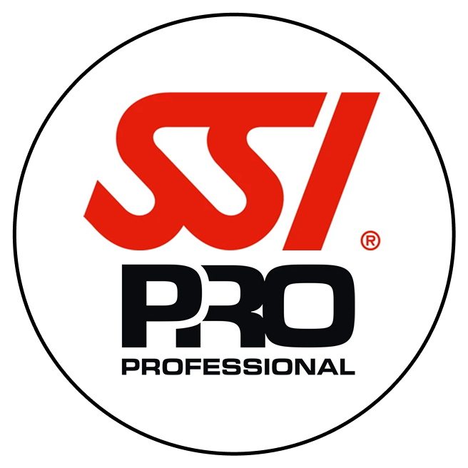 ssi pro ssi pro