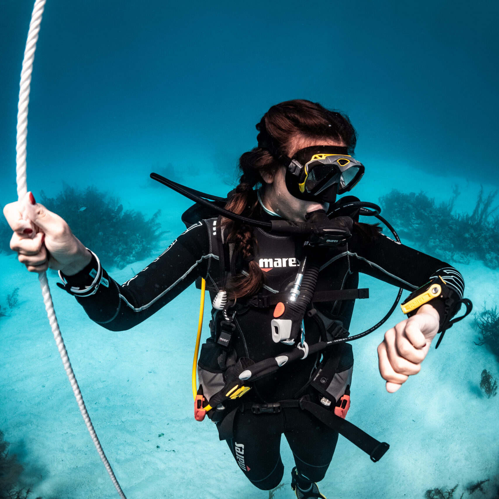 Dive Image (6)