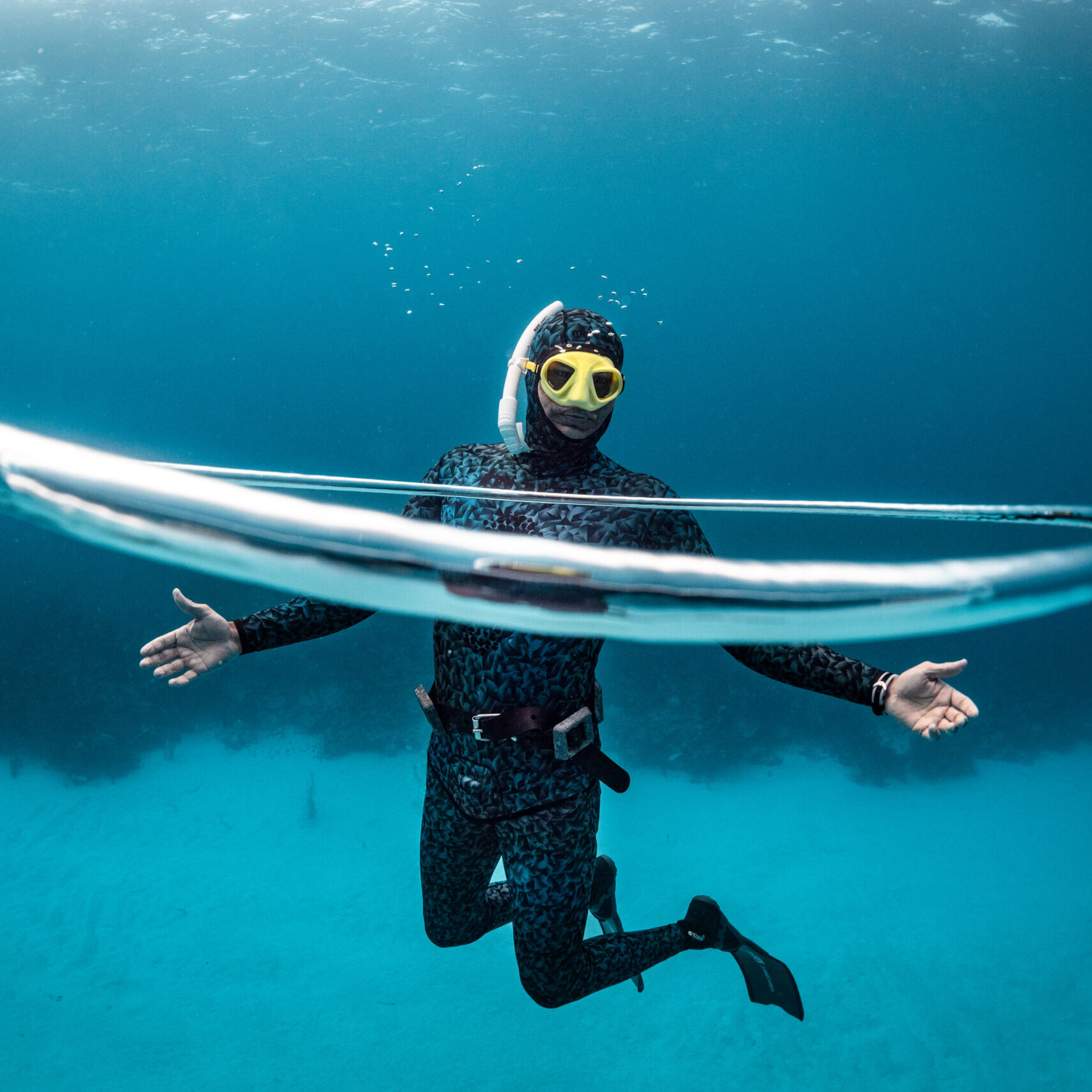 Dive Image (8)